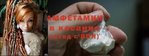 шишки Горнозаводск