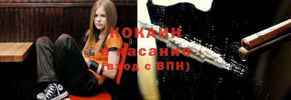 шишки Горнозаводск