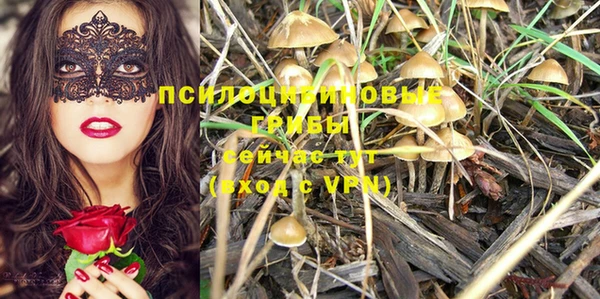 героин Горняк