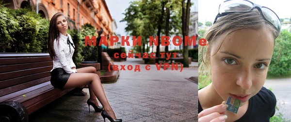 шишки Горнозаводск