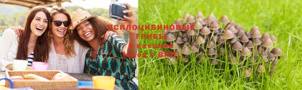 шишки Горнозаводск