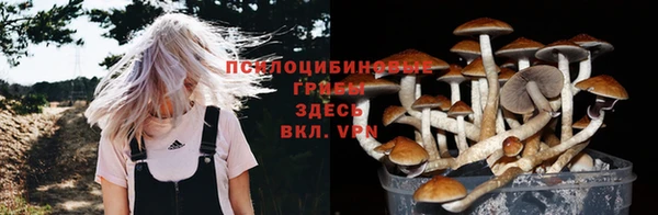 шишки Горнозаводск
